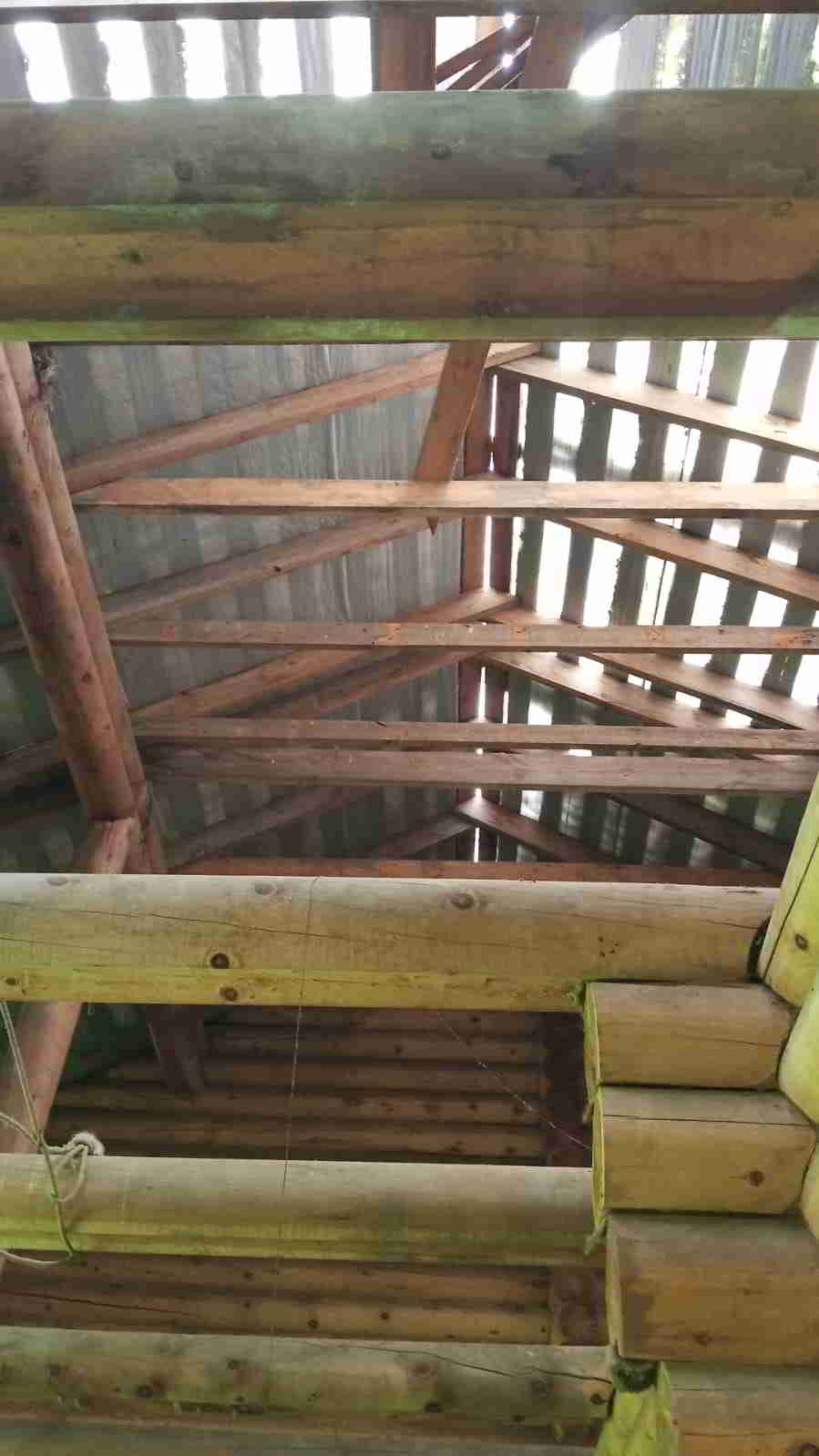 IMG-20260527-WA0003