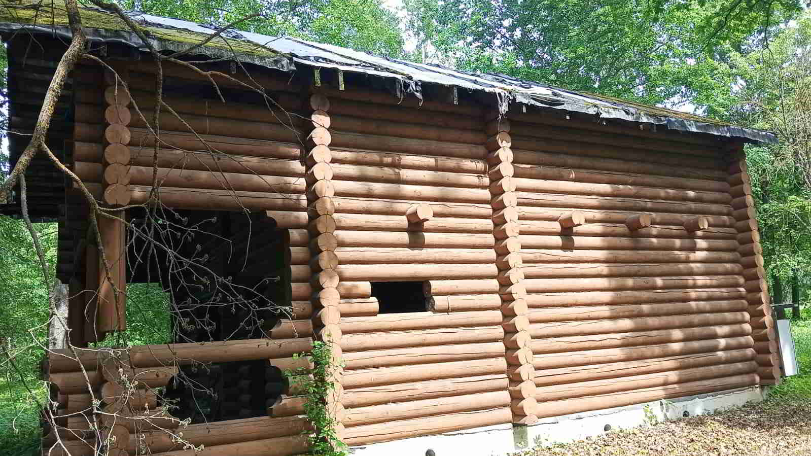 IMG-20260527-WA0010