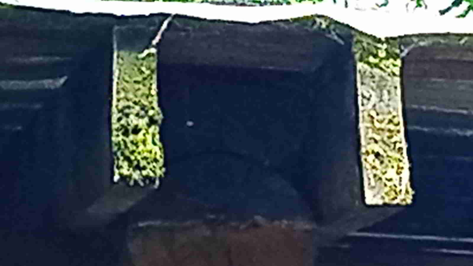 IMG-20260527-WA0011